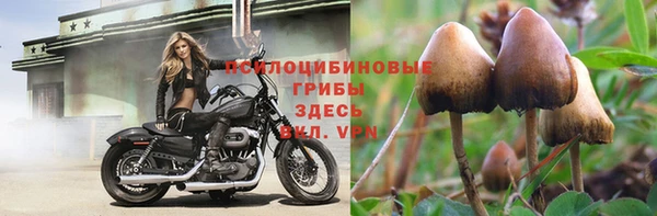 прущий лед Арсеньев