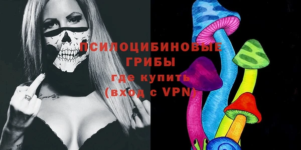 прущий лед Арсеньев