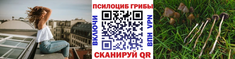 Псилоцибиновые грибы мухоморы  МЕГА рабочий сайт  Ртищево 